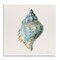 Stupell Industries Coastal Bliss Conch Shell Wall Plaque, design by Danhui Nai